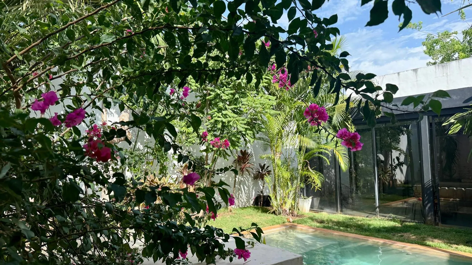 Departamento Martika Dalay Apartment Merida Mexico